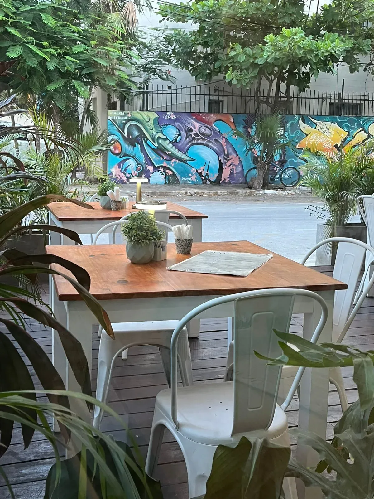 Playa del Carmen June 6 Co-Work in Playa del Carmen, Mexico