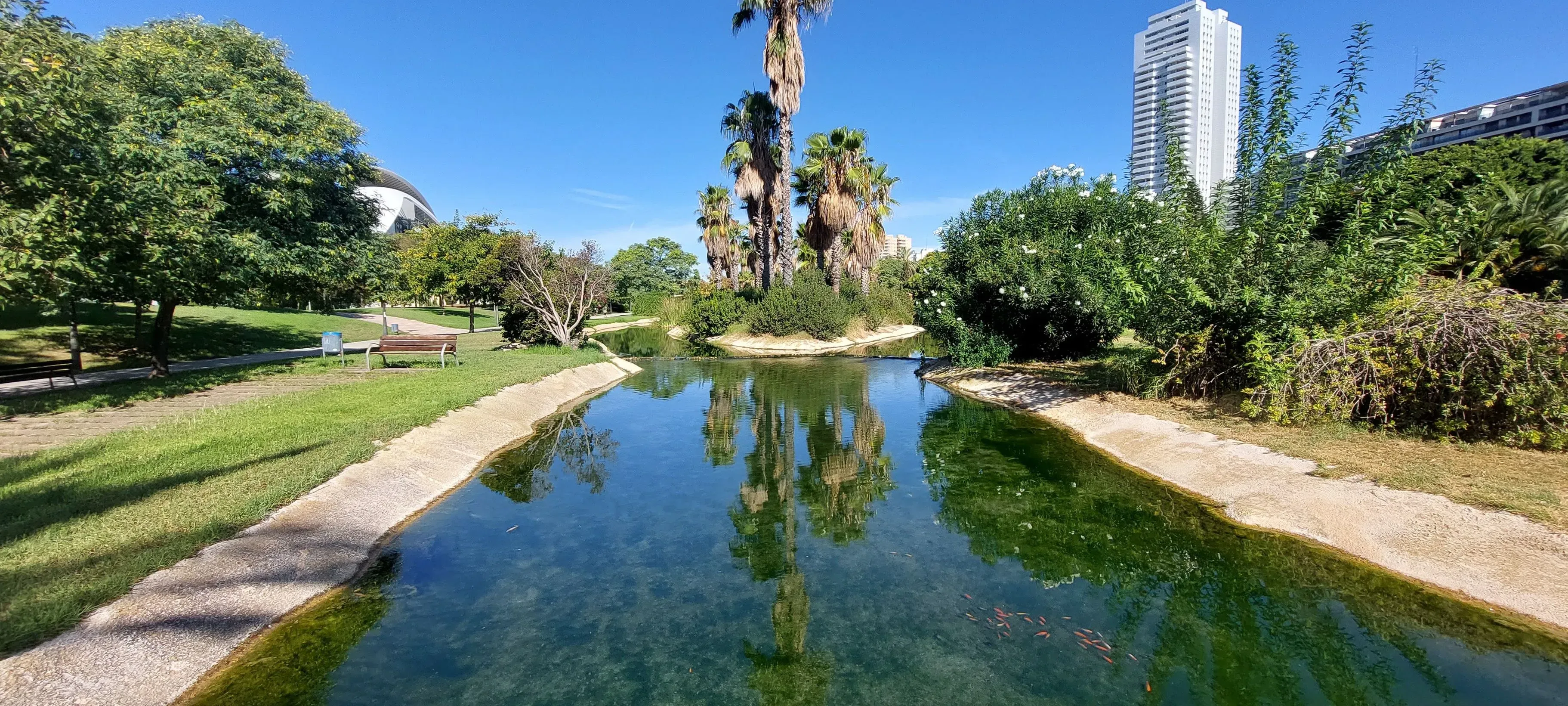 Valencia August 18 Meet-Up in Valencia, Spain