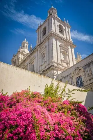 Lisbon August 21 Junto