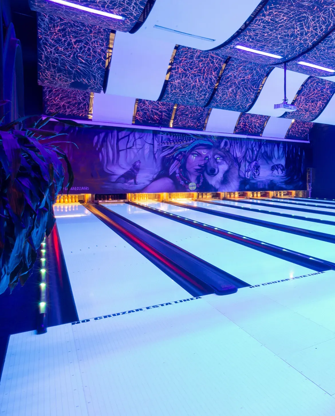 Medellín August 15 Dinner in Medellín, Colombia