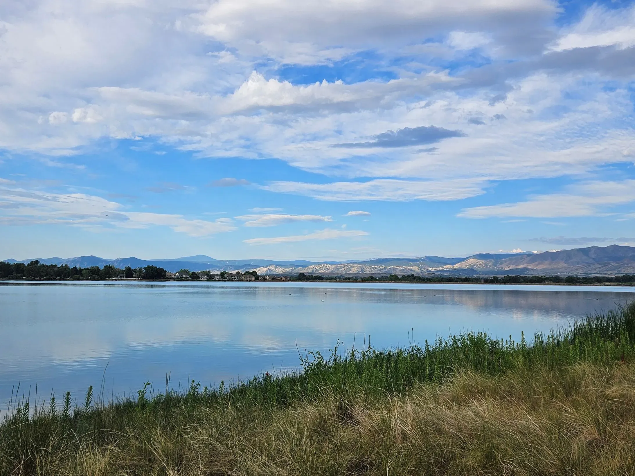 Longmont March 19 Junto in Longmont, United States