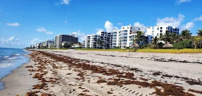 DC Delray Beach Chapter