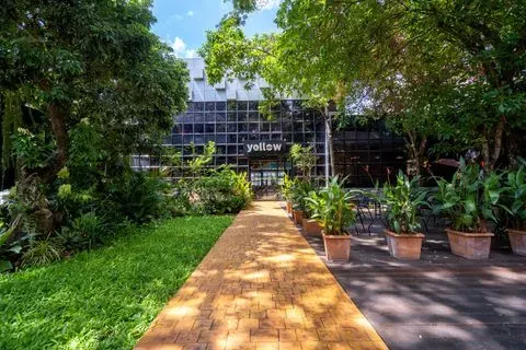 Chiang Mai November 6 Meet-Up