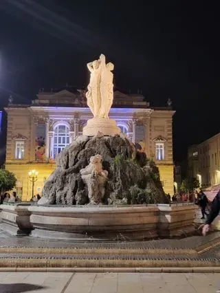 DC Montpellier Chapter