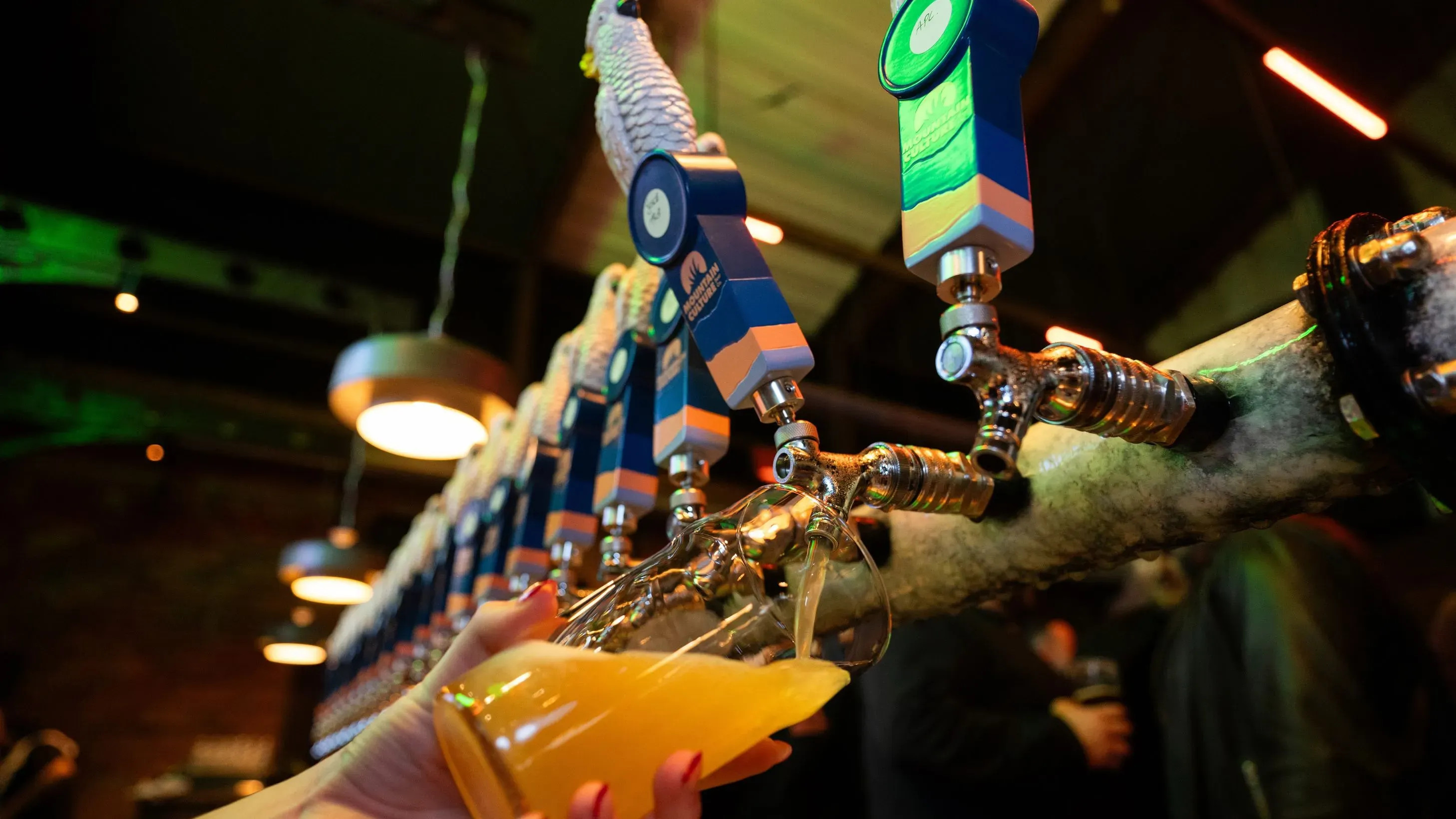 Melbourne January 15 Junto in Melbourne, Australia