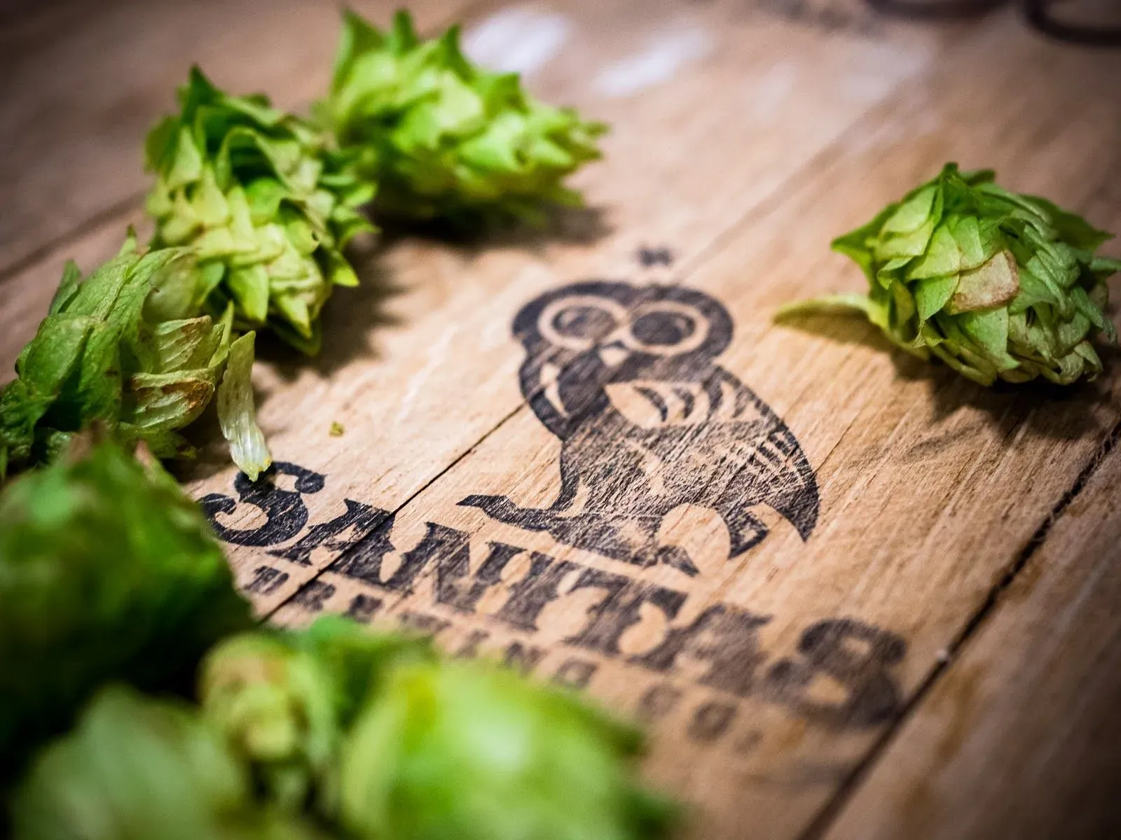 Boulder April 18 Junto in Boulder, United States