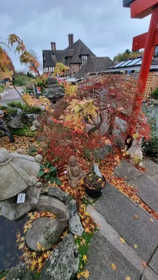 DC Birmingham Chapter