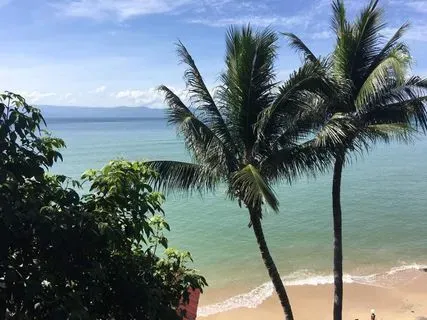 DC Ko Phangan Chapter